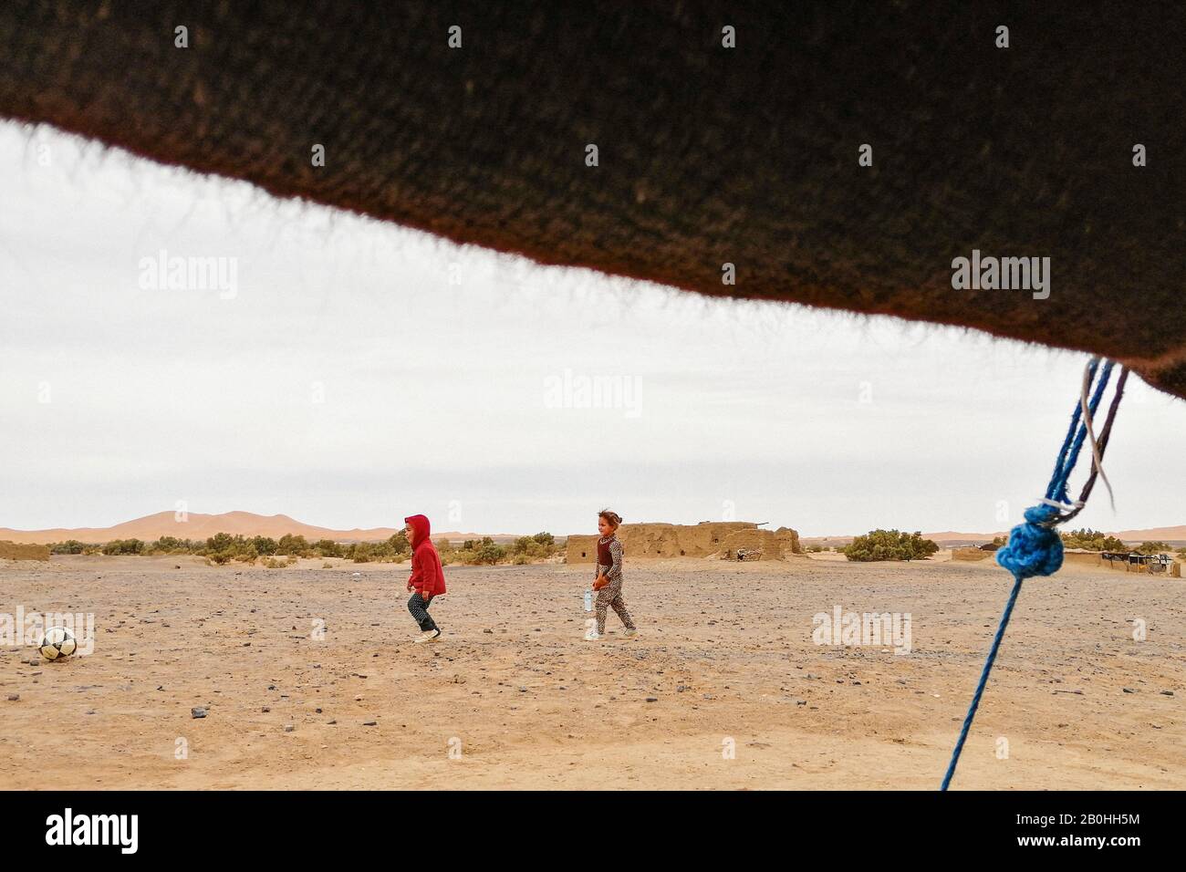 Morocco,  surrounding of Taouz, daily life Stock Photo