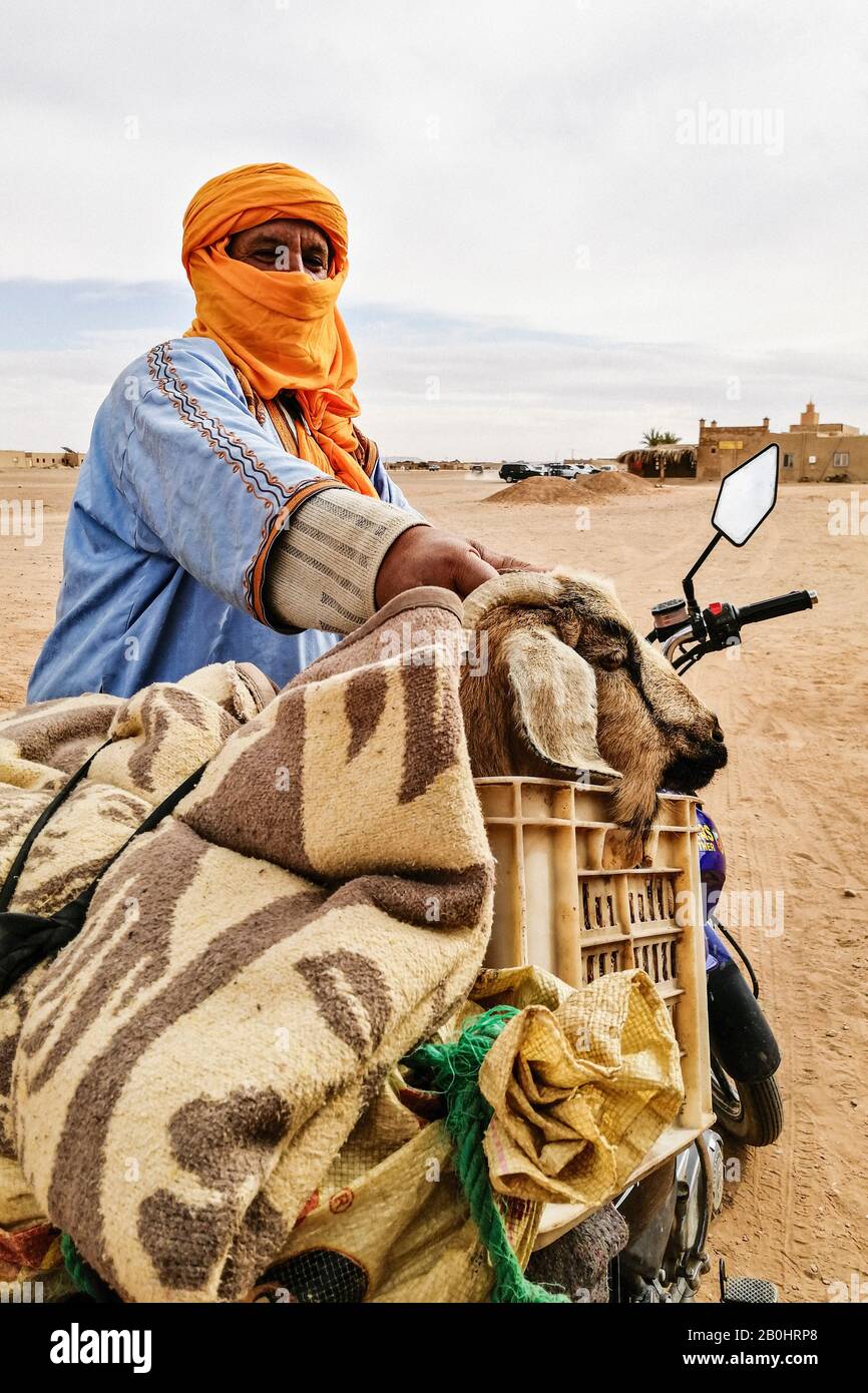 Morocco,  Hassilabied, man and goat Stock Photo