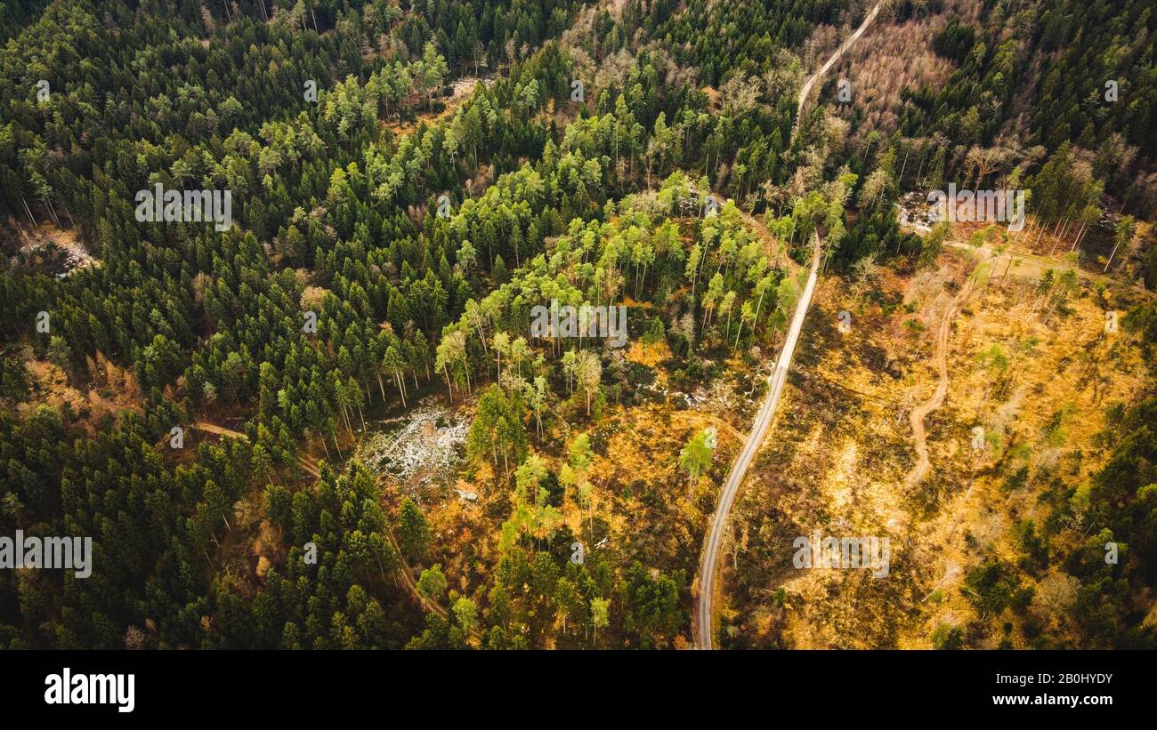 Aerial view of forest and after fire empty spots Stock Photo - Alamy