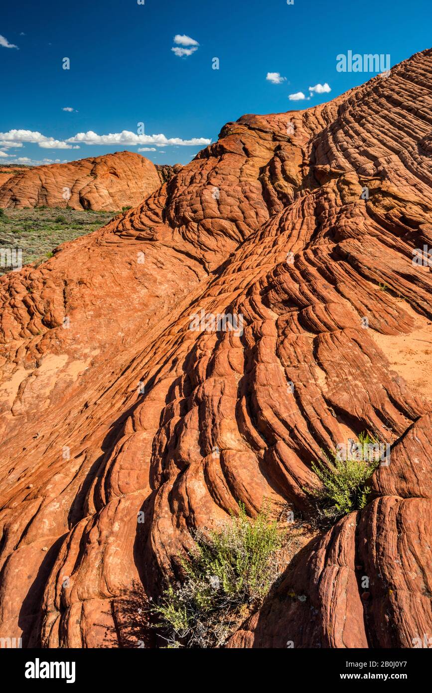 Crossbedding at Navajo Sandstone rock formations, from West Canyon Overlook at Snow Canyon State Park, Utah, USA Stock Photo