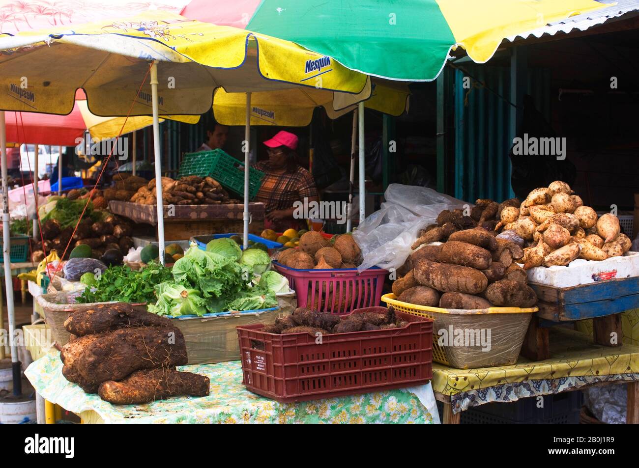 DOMINICA, ROSEAU, MARKET SCENE WITH TARO, SWEET POTATO (YAM), COCONUT