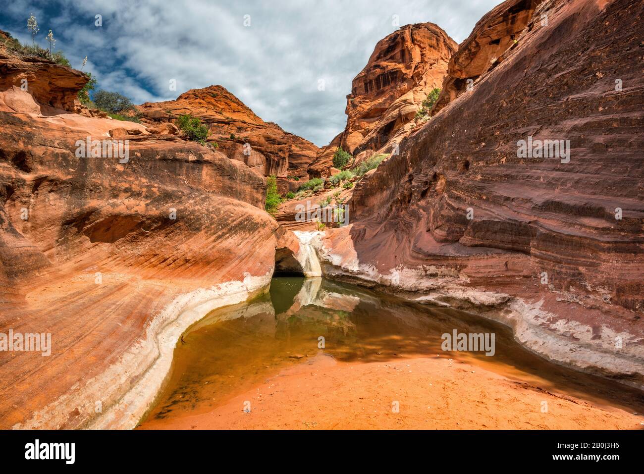 Tinaja, water pool in Navajo sandstone bedrock at Red Cliffs Recreational Area, near St George, Utah, USA Stock Photo