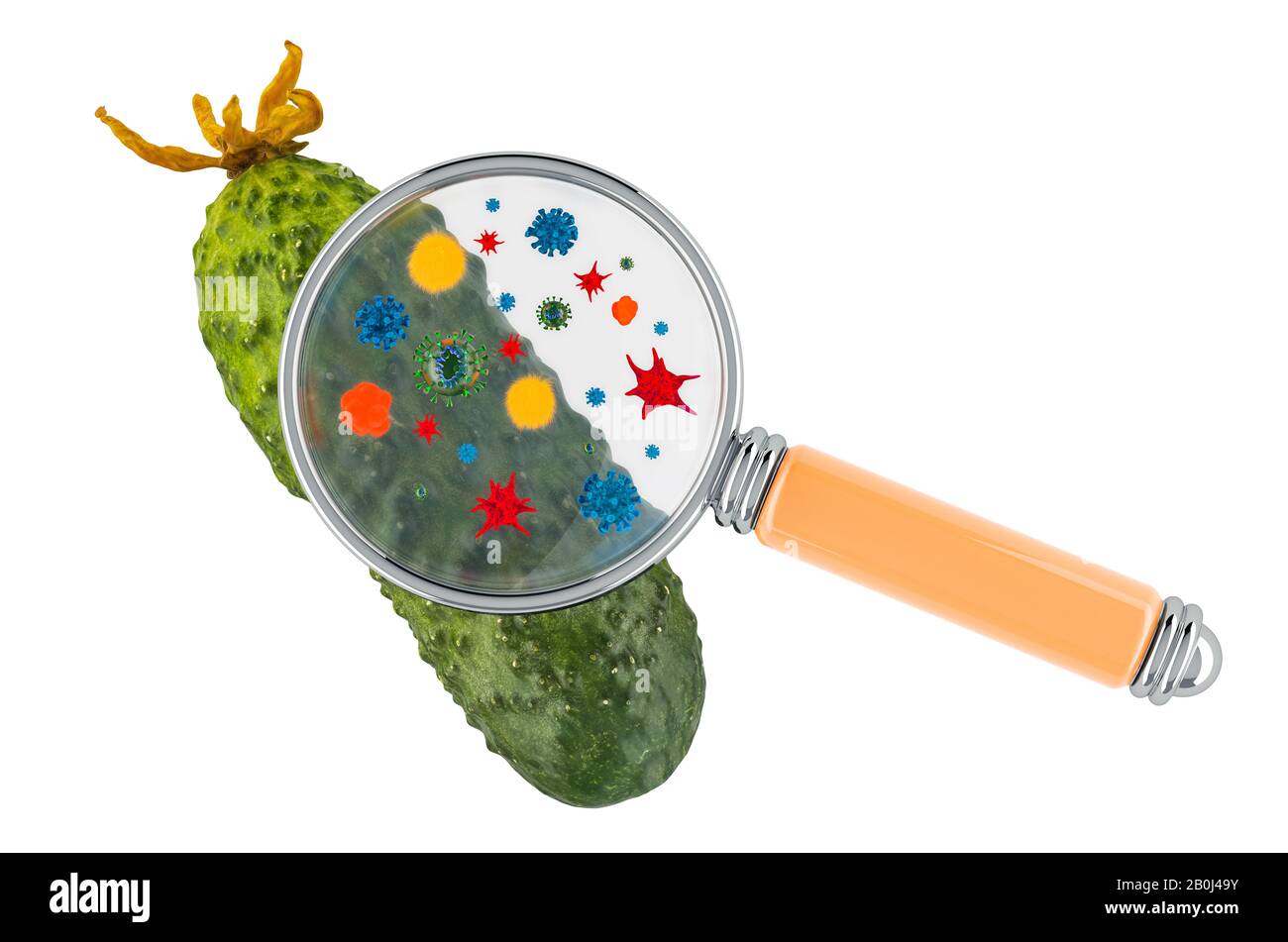 Cucumber with germs, microbes or viruses under magnifying glass, 3D rendering isolated on white background Stock Photo
