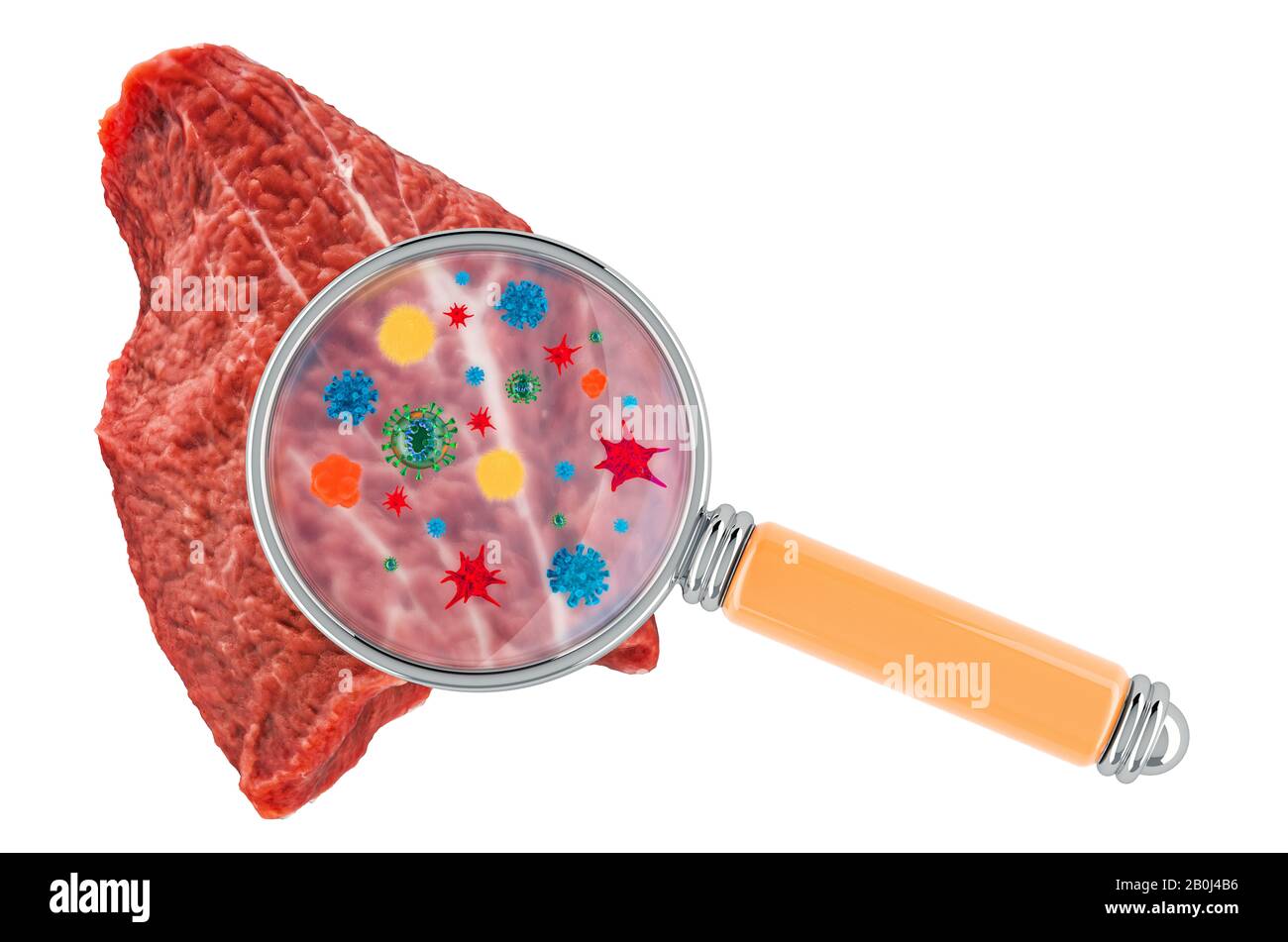 Beef meat with germs, microbes or viruses under magnifying glass, 3D