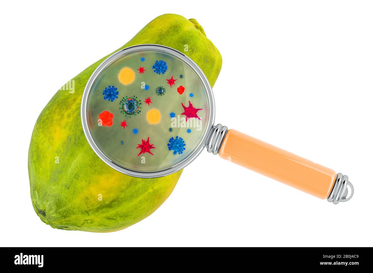 Papaya with germs, microbes or viruses under magnifying glass, 3D rendering isolated on white background Stock Photo