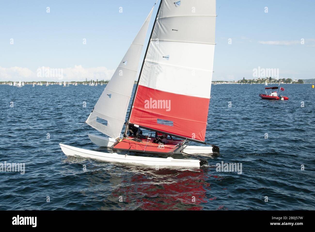 Children Sailing a catamaran sailboat at speed with one hull airborne. Skilled teamwork by junior sailors racing in school championship regatta. Phot Stock Photo