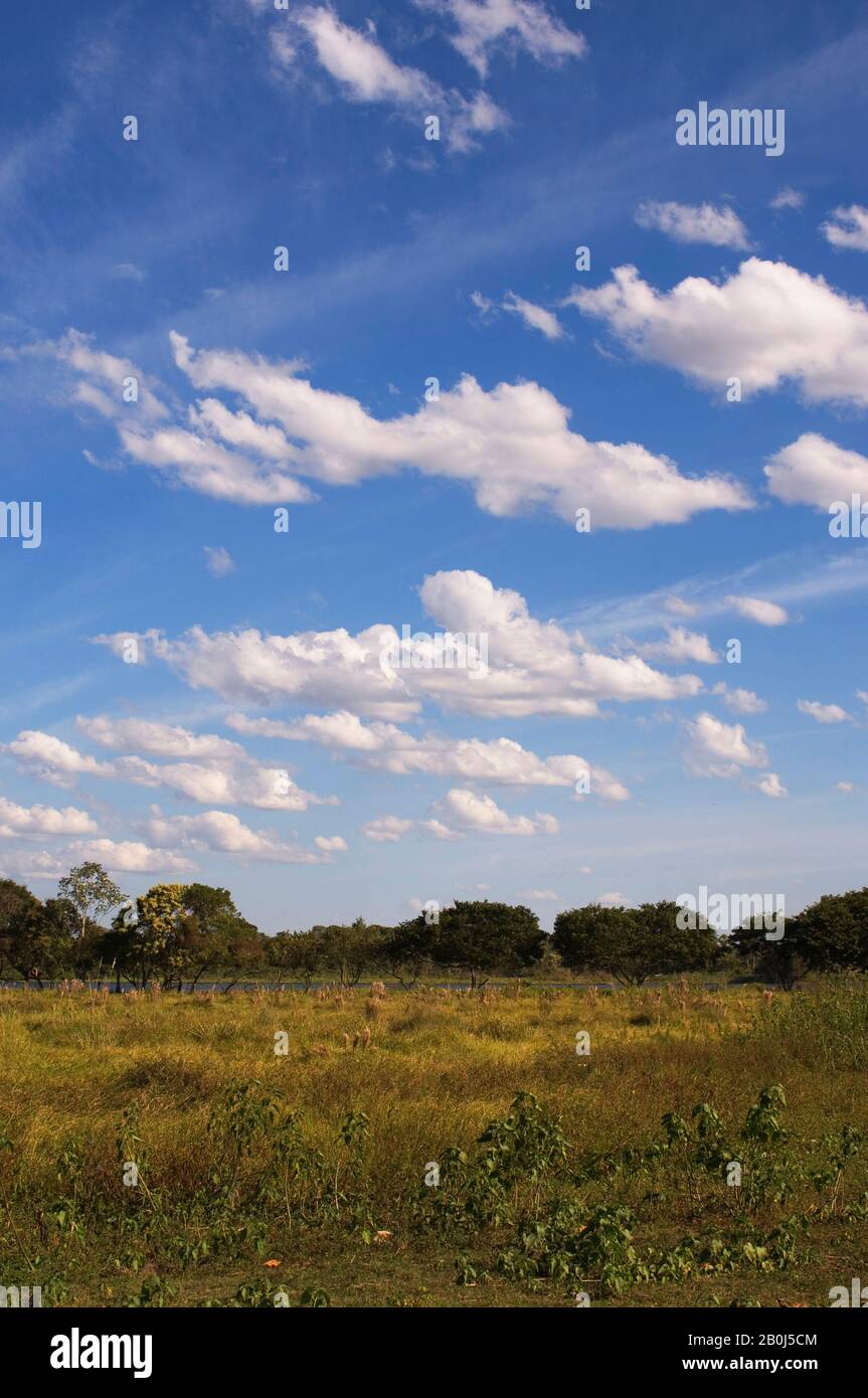 Mato grosso brazil landscape hi-res stock photography and images - Alamy