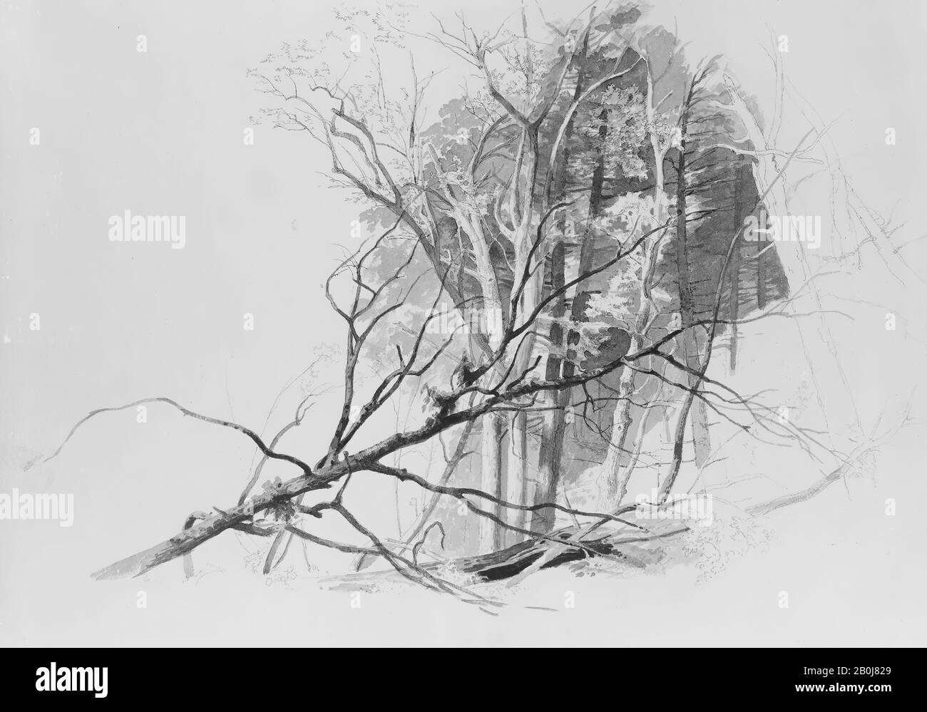 50 4 x 34 8 cm hi-res stock photography and images - Alamy