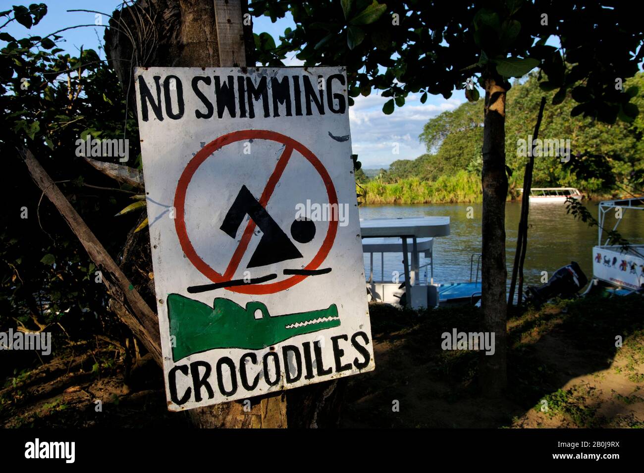 Swim with crocodiles hi-res stock photography and images - Alamy