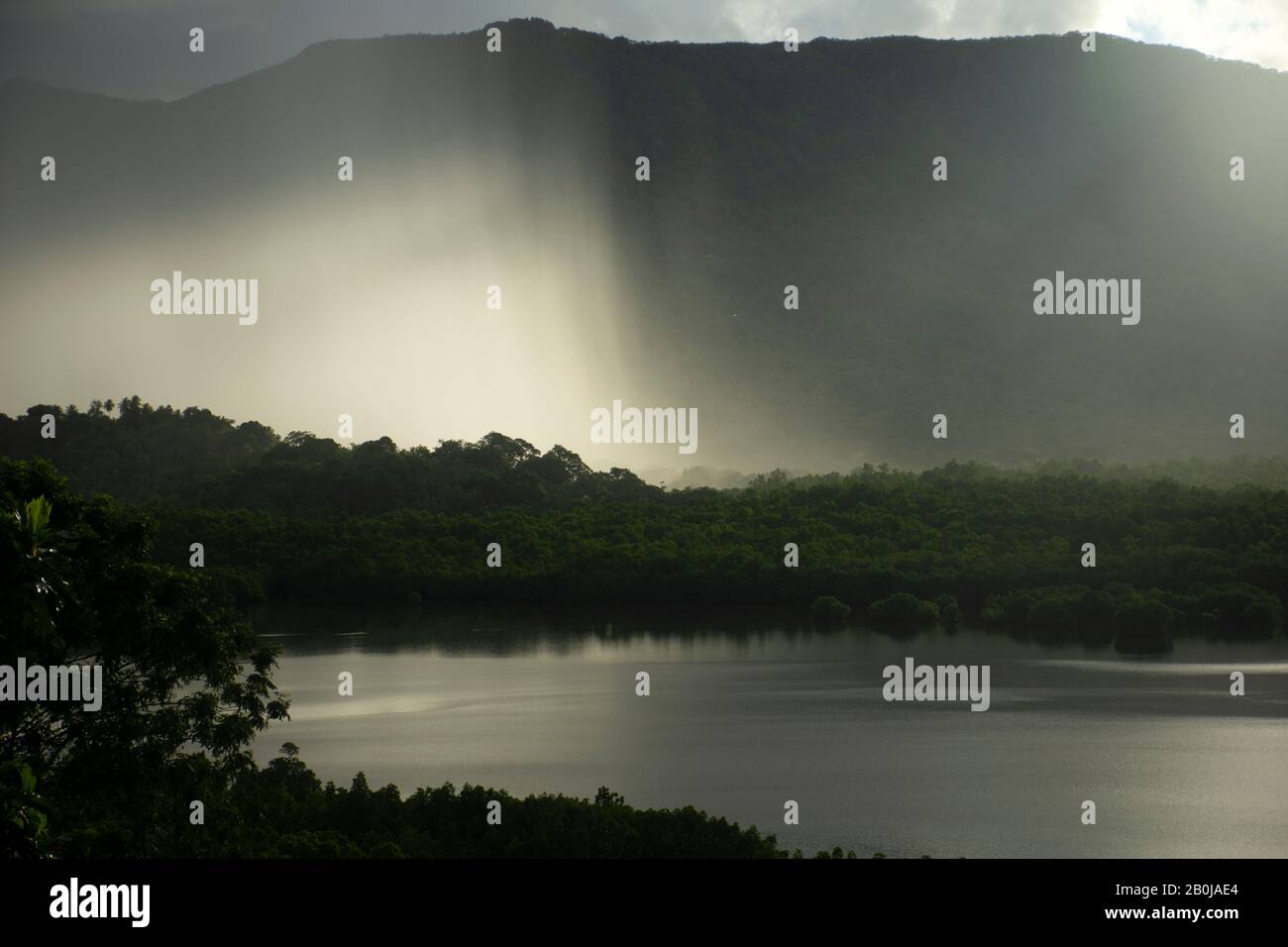 Rain approaching the mangrove, Pohnpei, Federated States of Micronesia Stock Photo