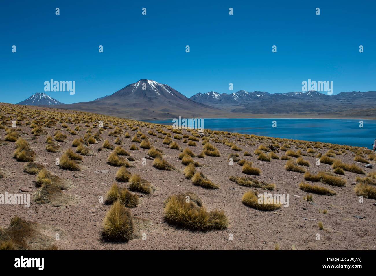 View of Miscanti volcano 5640 m (18,504 ft.) and Miscanti lagoon in the Los Flamencos National Reserve near San Pedro de Atacama in the Atacama Desert Stock Photo