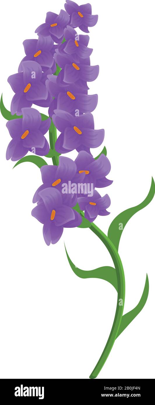Botany lavender icon. Cartoon of botany lavender vector icon for web design isolated on white background Stock Vector Image & Art - Alamy Botany lavender icon. Cartoon of botany lavender vector icon for web design isolated on white background Stock Vector Image & Art - Alamy