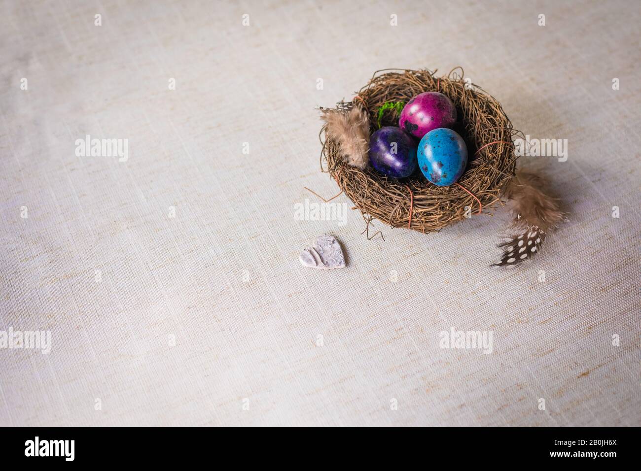 Naturally dyed quail eggs in nest with feathers on linen background, Easter spring greeting sales postcard concept Stock Photo