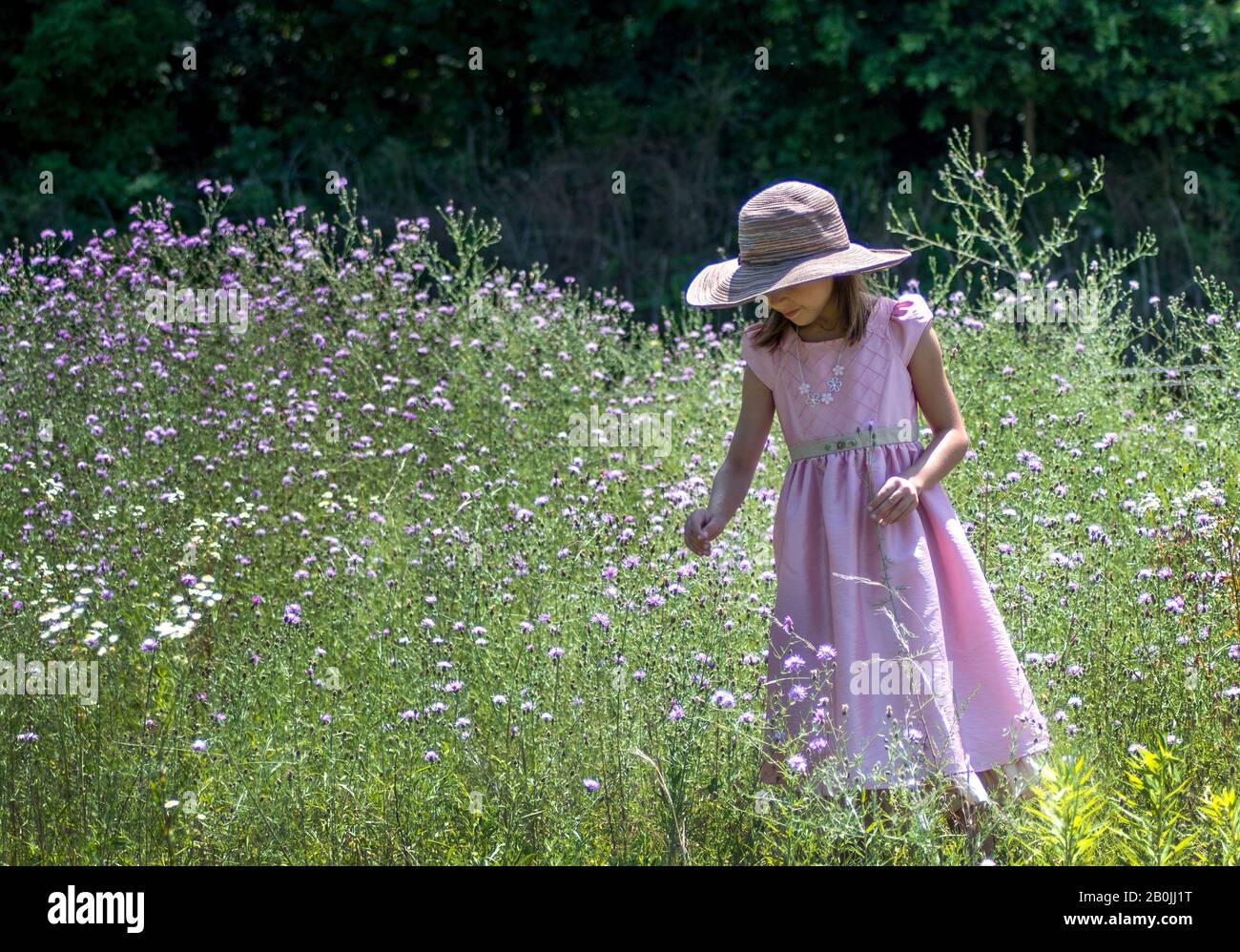 Child meadow smell flower hi-res stock photography and images - Alamy