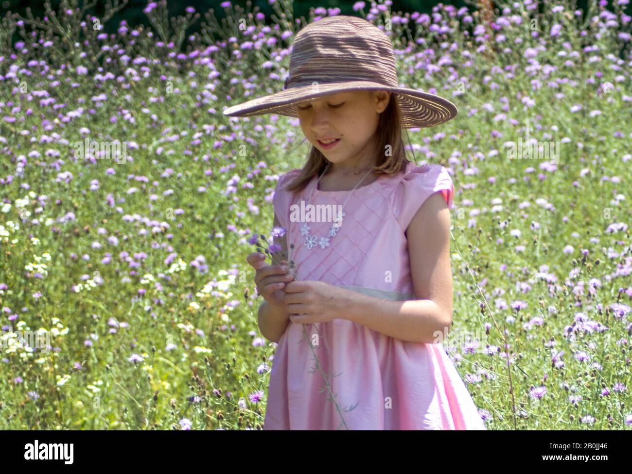 Young girl is pretty in pink as she stands in a field of pink and white ...