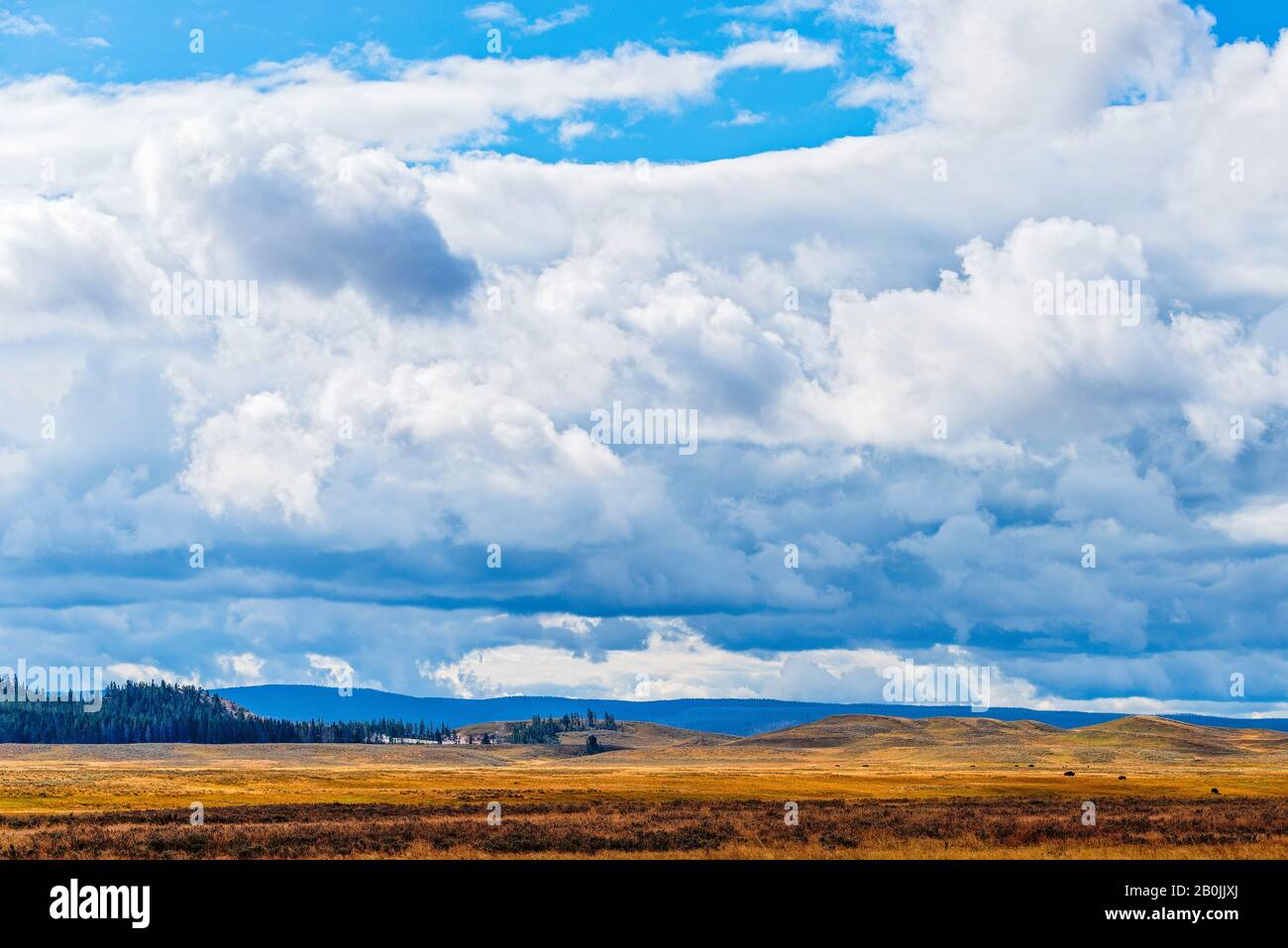 Big white fluffy clouds in skies with green forest and golden mountains below. Stock Photo