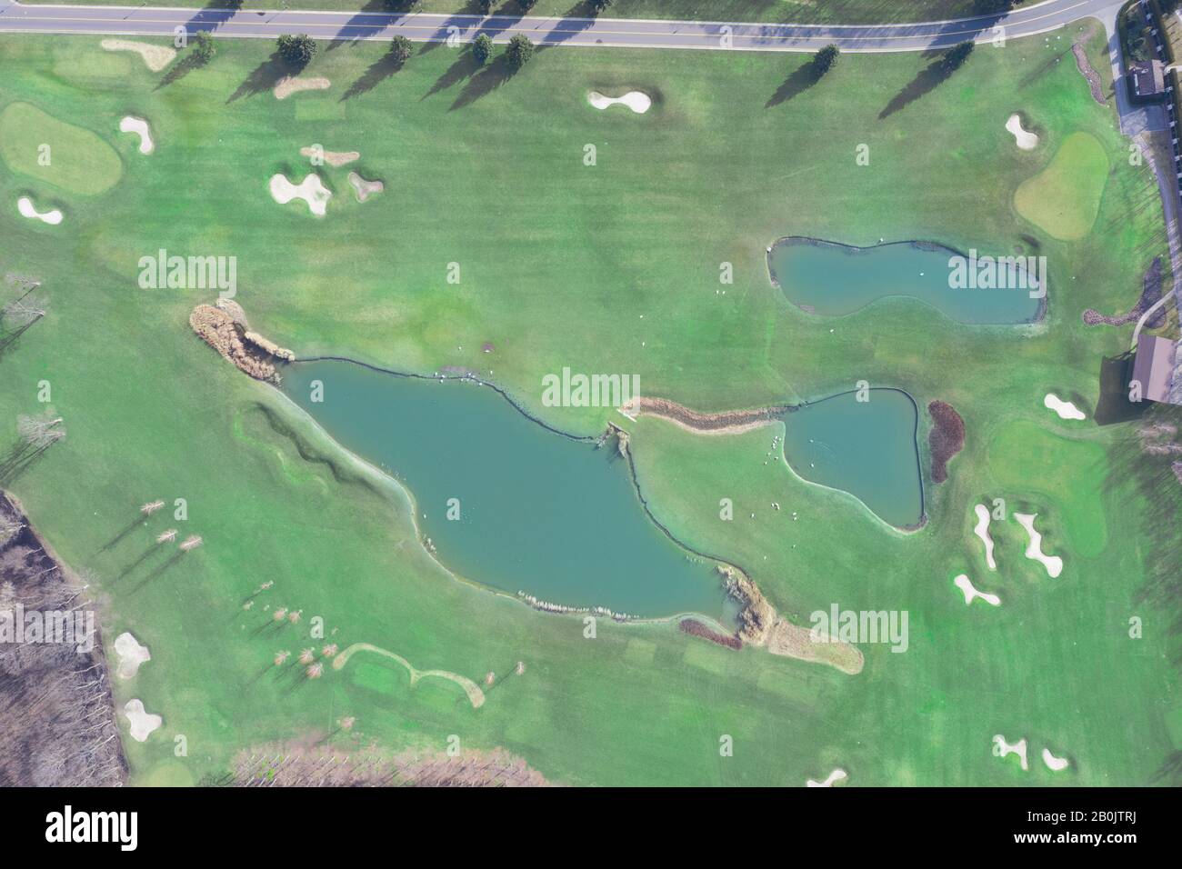 Golf course with high quality lawn and lakes. Mezhigorye National Park
