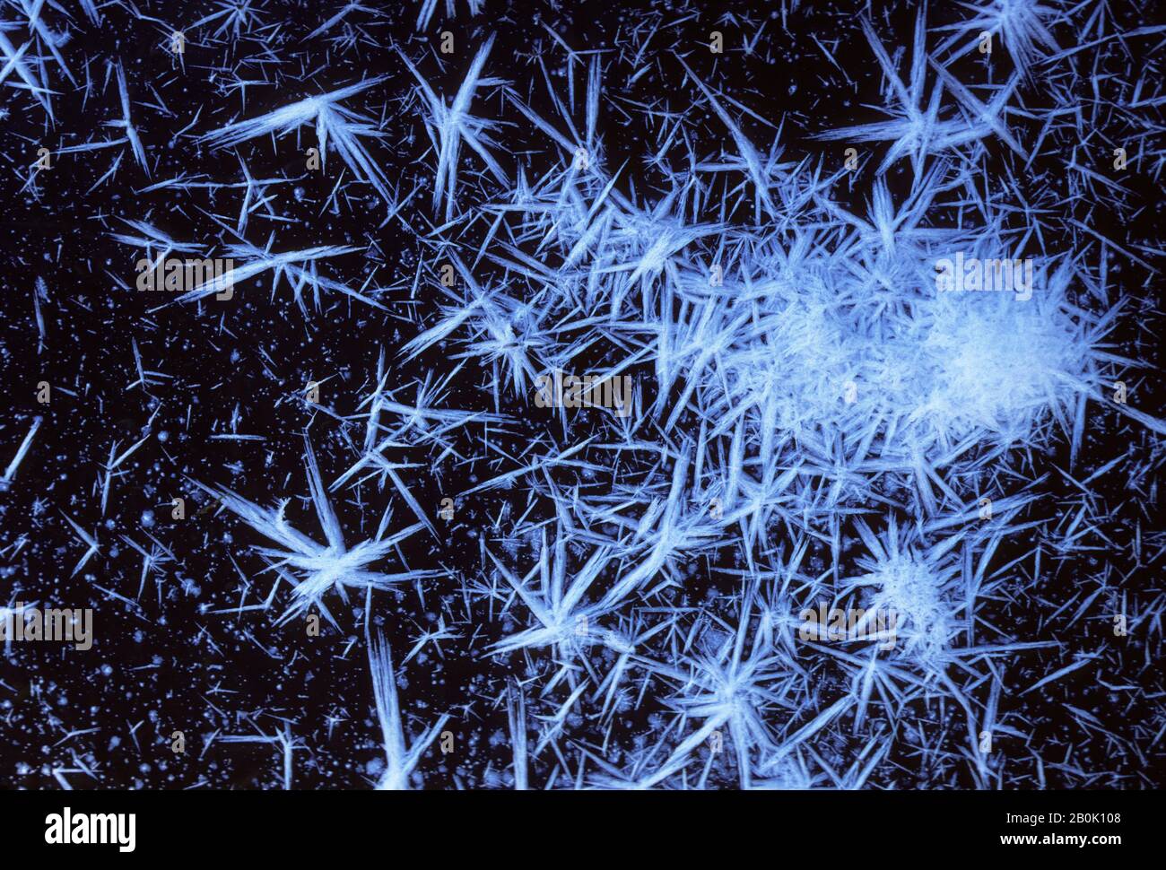 ICE CRYSTALS ON FROZEN POND Stock Photo - Alamy