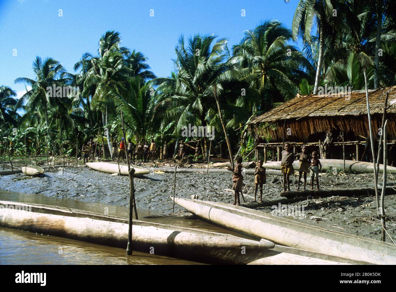 WEST NEW GUINEA, (IRIAN JAYA, INDONESIA), ASMAT REGION, TRIBAL VILLAGE IN RAIN FOREST Stock Photo