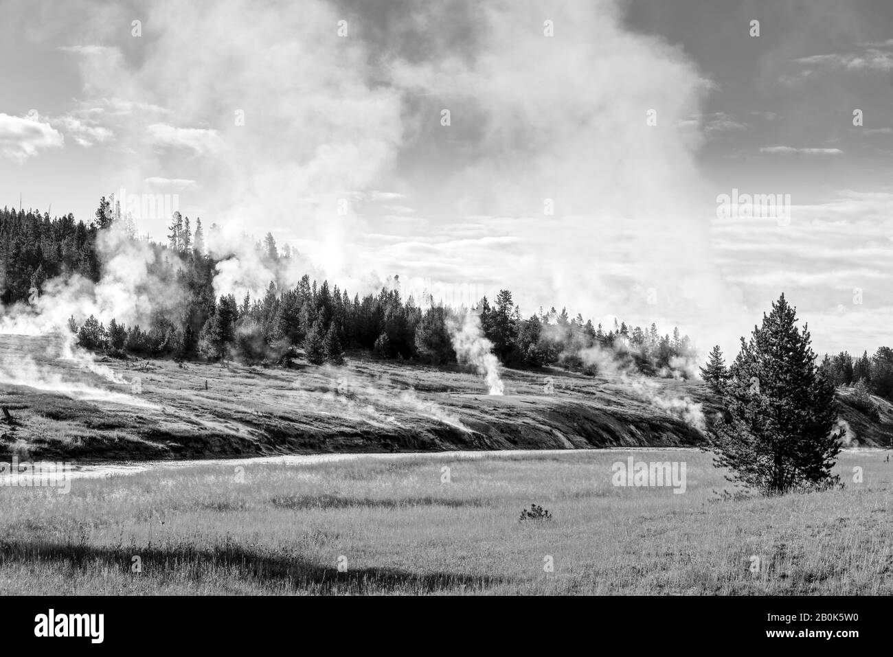 Steam venting from the earth in and around forest trees, water running off into stream. Black and white. Stock Photo