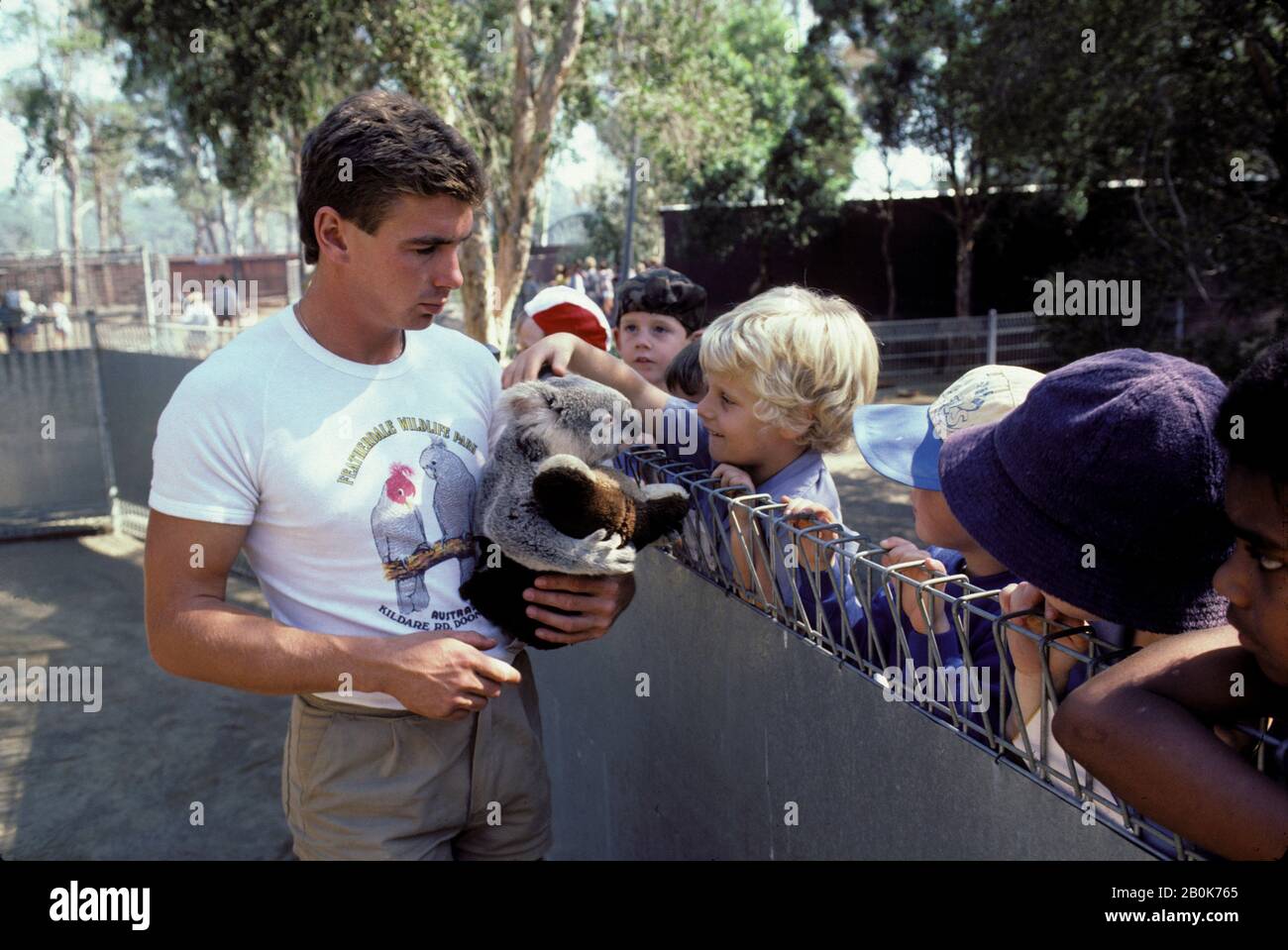 AUSTRALIA, FEATHERDALE WILDLIFE PARK (OUTSIDE SYDNEY), CHILDREN PETTING KOALA Stock Photo