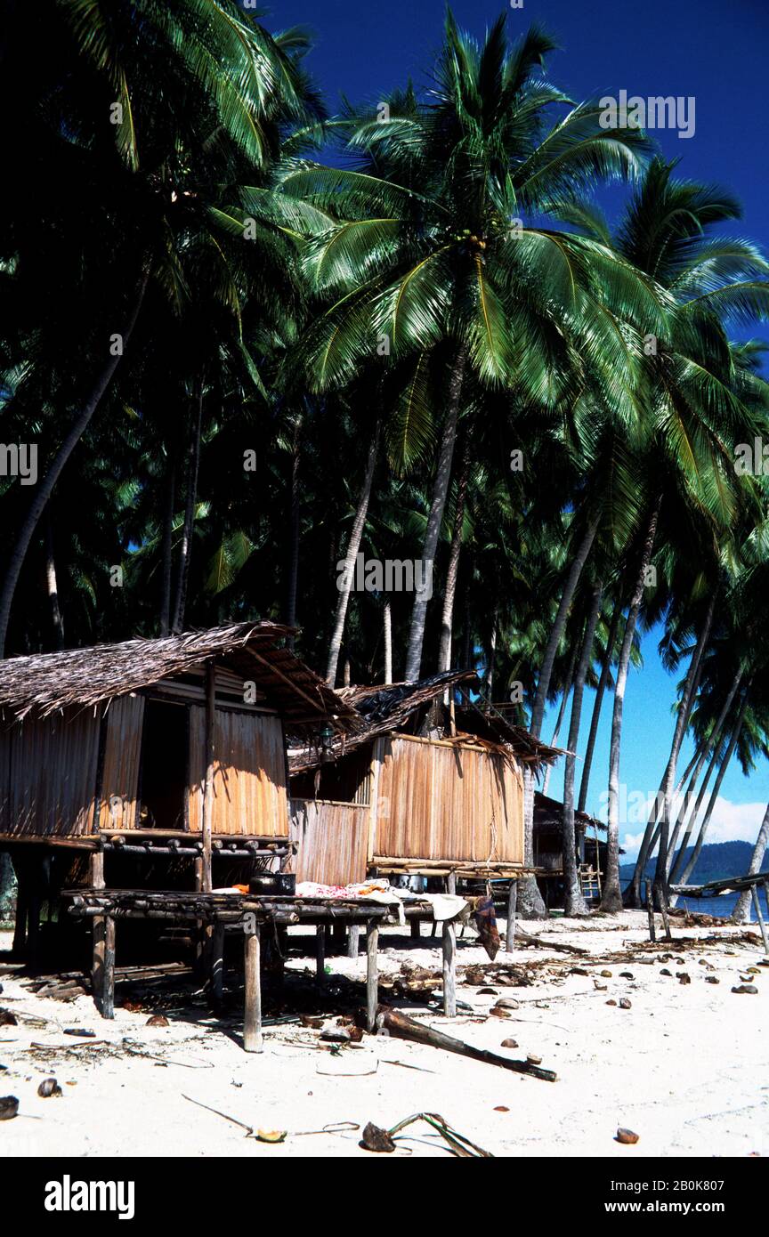 Village with coconut palm trees hi-res stock photography and images - Alamy