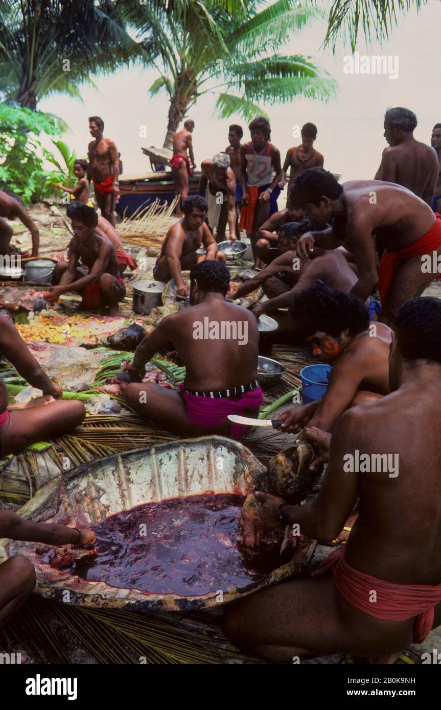 MICRONESIA, CAROLINE ISLS. PULAP ISLAND, NATIVE ISLANDERS DIVIDING UP SEA TURTLE CATCH Stock Photo