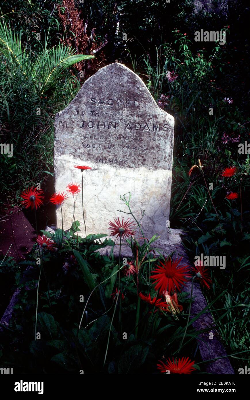 PITCAIRN ISLAND, GRAVE OF JOHN ADAMS, ORIGINAL MUTINEER Stock Photo