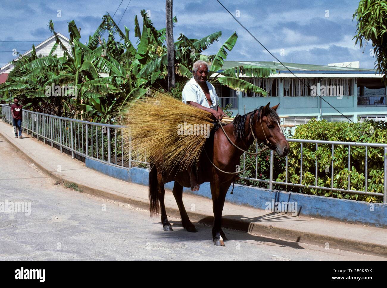 Riding tonga hires stock photography and images Alamy