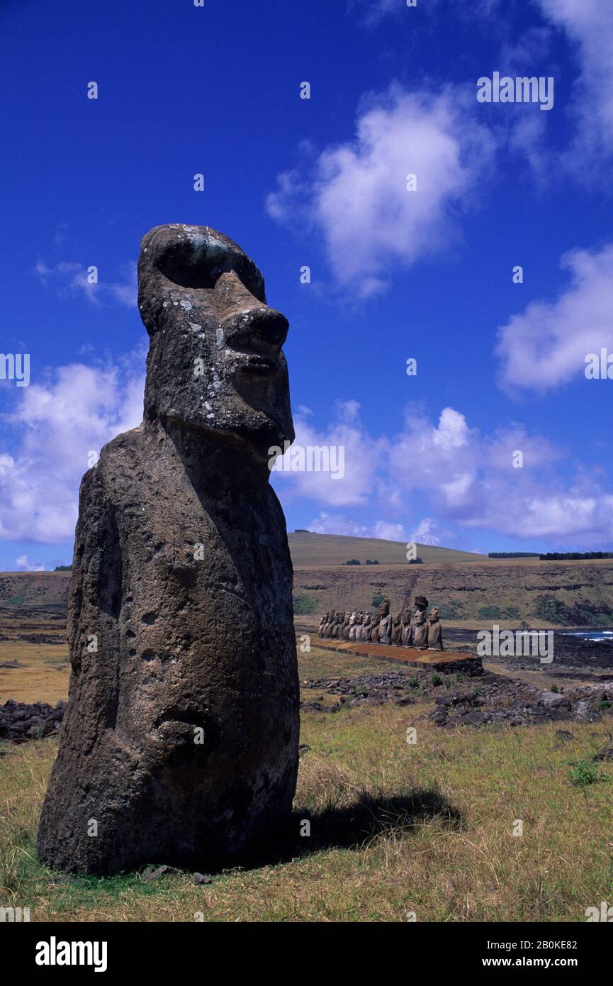 EASTER ISLAND, AHU TONGARIKI, MOAI STATUE, SINGLE STATUE IN FOREGROUND Stock Photo Alamy