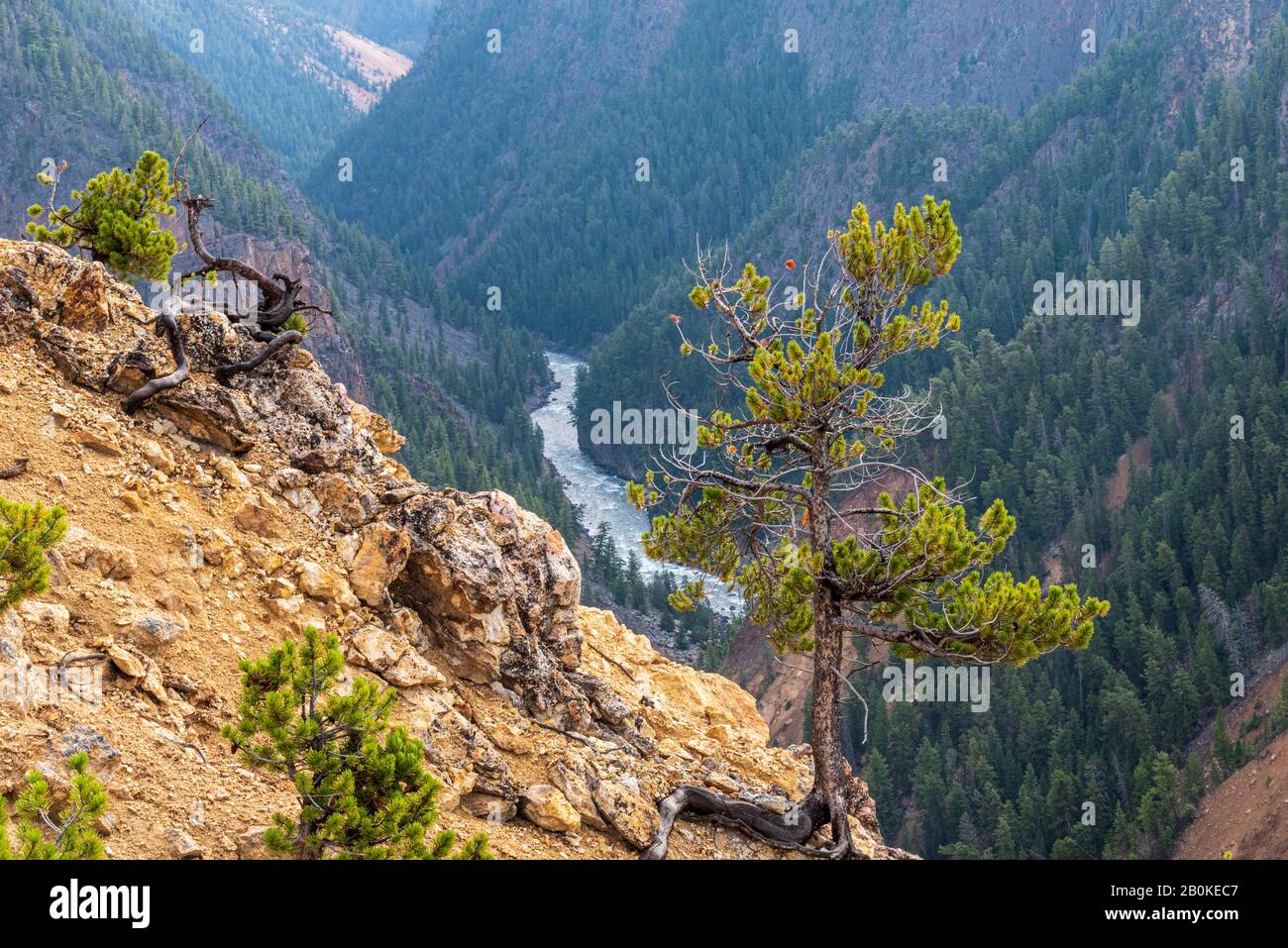 Green pin on canyon wall, deep canyon with rive at the bottom. Stock Photo