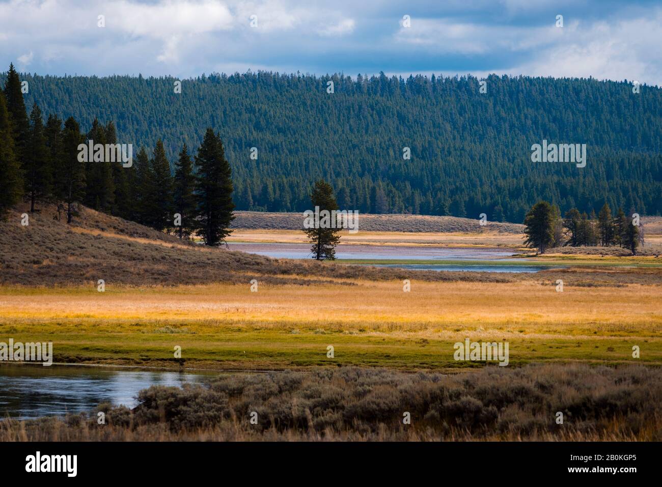 Small pond and lake in golden grassy valley with green forested mountains under a sky with white fluffy clouds. Stock Photo