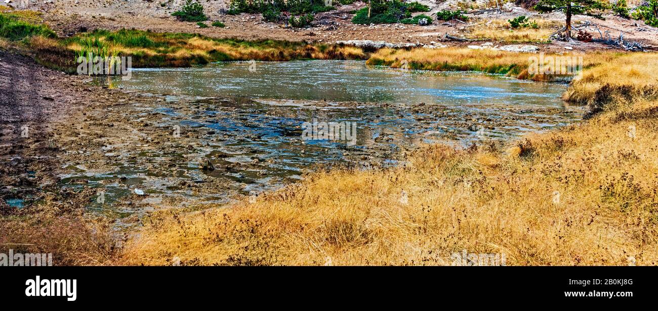 Bubbling hot spring in field of golden brown grass. Stock Photo