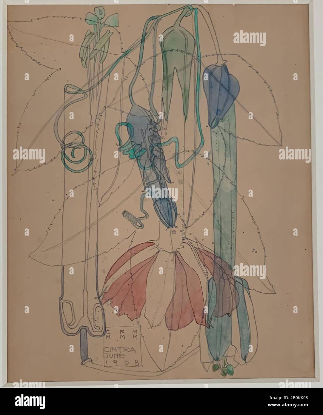 Charles Rennie Mackintosh, Tacsonia, Charles Rennie Mackintosh (British, Glasgow, Scotland 1868–1928 London), 1908, Graphite and watercolor on tan paper, 15 3/8 × 13 3/8 in. (39.1 × 34 cm), Drawings Stock Photo