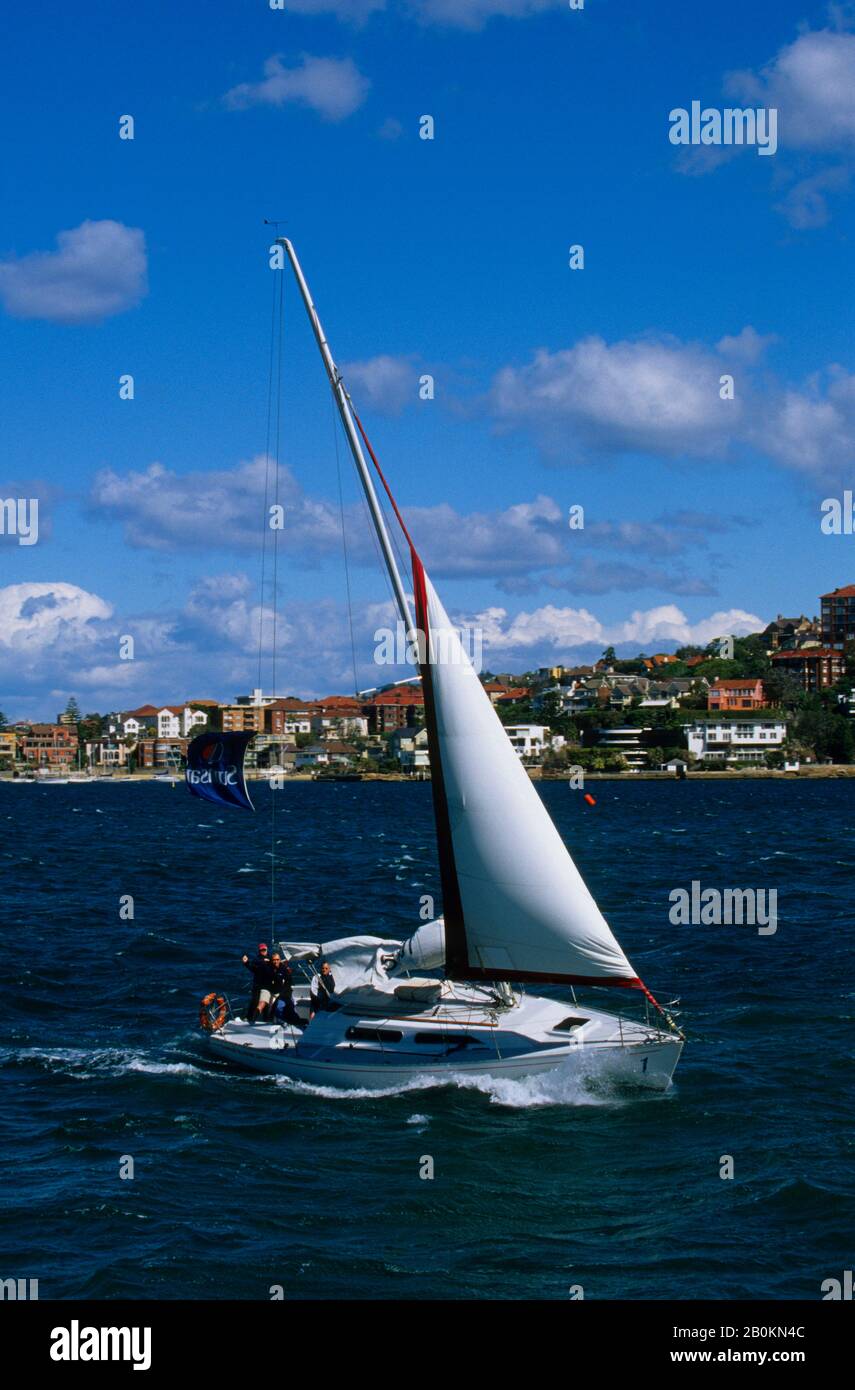 AUSTRALIA, SYDNEY, SYDNEY HARBOUR, SAILBOAT Stock Photo - Alamy