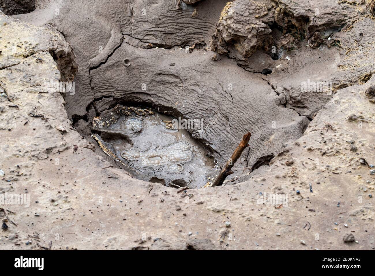 Bubbling mud pot, hole in ground. Stock Photo