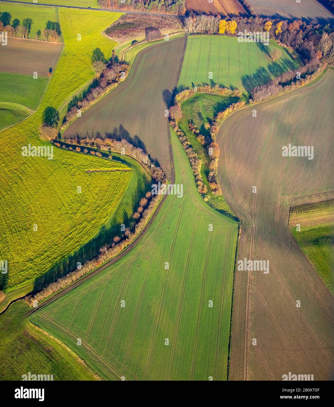 Aerial photo, green meadows and fields, head shape, former arm of a river, Lippe meadows, Lippe meander, comic figure, landscape forms, Westruper Stra Stock Photo