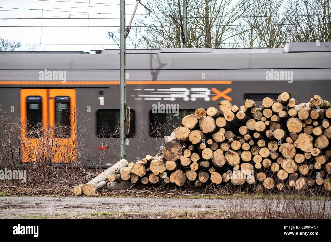 Trees felled after hurricane Sabine, February 2020, along the railway line between Duisburg and DŸsseldorf, Stock Photo