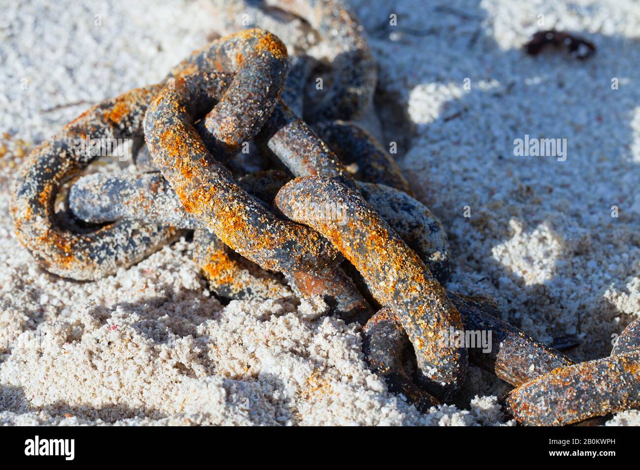 Closeup of a large link rusty iron chain covered by coarse sand on the beach at low  tide . Stock Photo