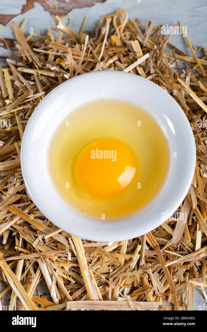 Egg yolk bright hires stock photography and images Alamy