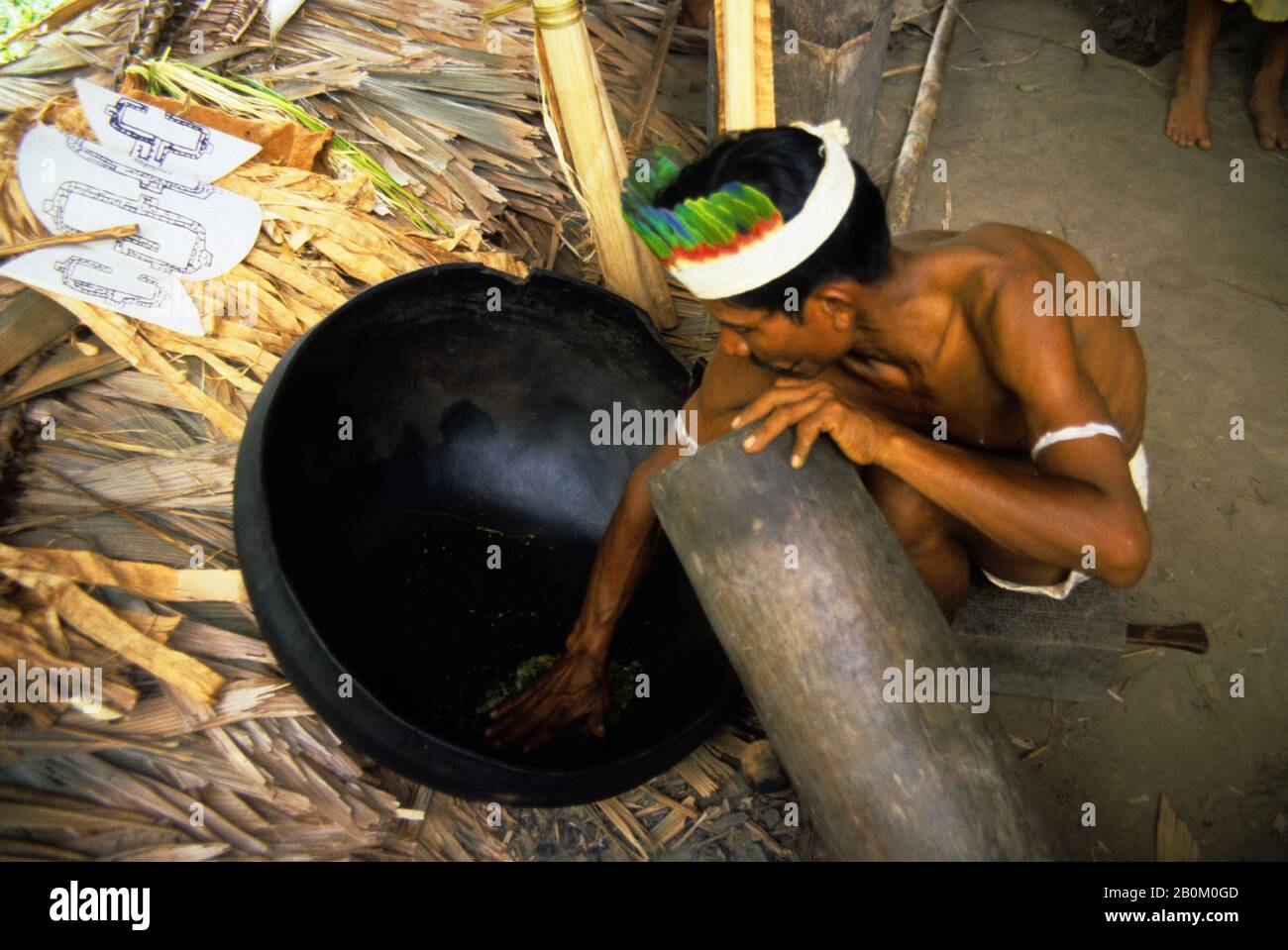 Coco Indio Cocoa leaves peru hi-res stock photography and images - Alamy