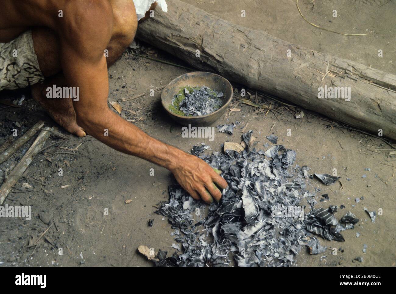 Coco Indio Cocoa leaves peru hi-res stock photography and images - Alamy