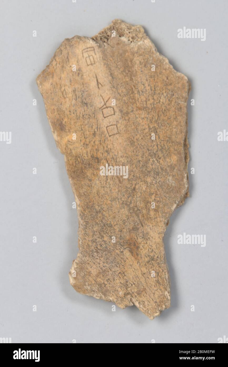 Oracle bone fragment, China, Shang dynasty (ca. 1600–1046 B.C.), Culture: China, Inscribed bone, 3 1/8 × 5 in. (7.9 × 12.7 cm), Bone Stock Photo