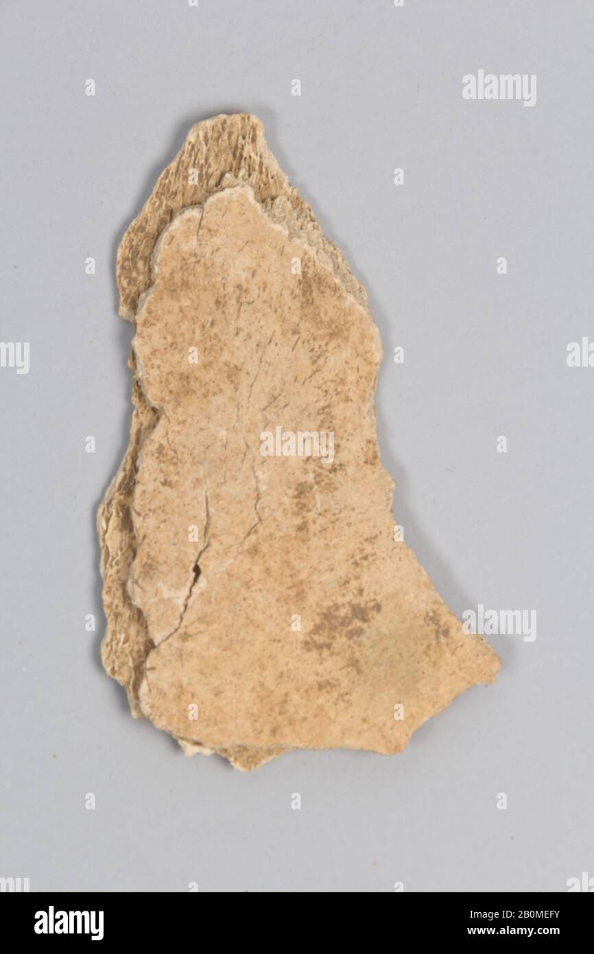 Oracle bone fragment, China, Shang dynasty (ca. 1600–1046 B.C.), Culture: China, Bone, 2 5/8 × 4 1/4 in. (6.7 × 10.8 cm), Bone Stock Photo