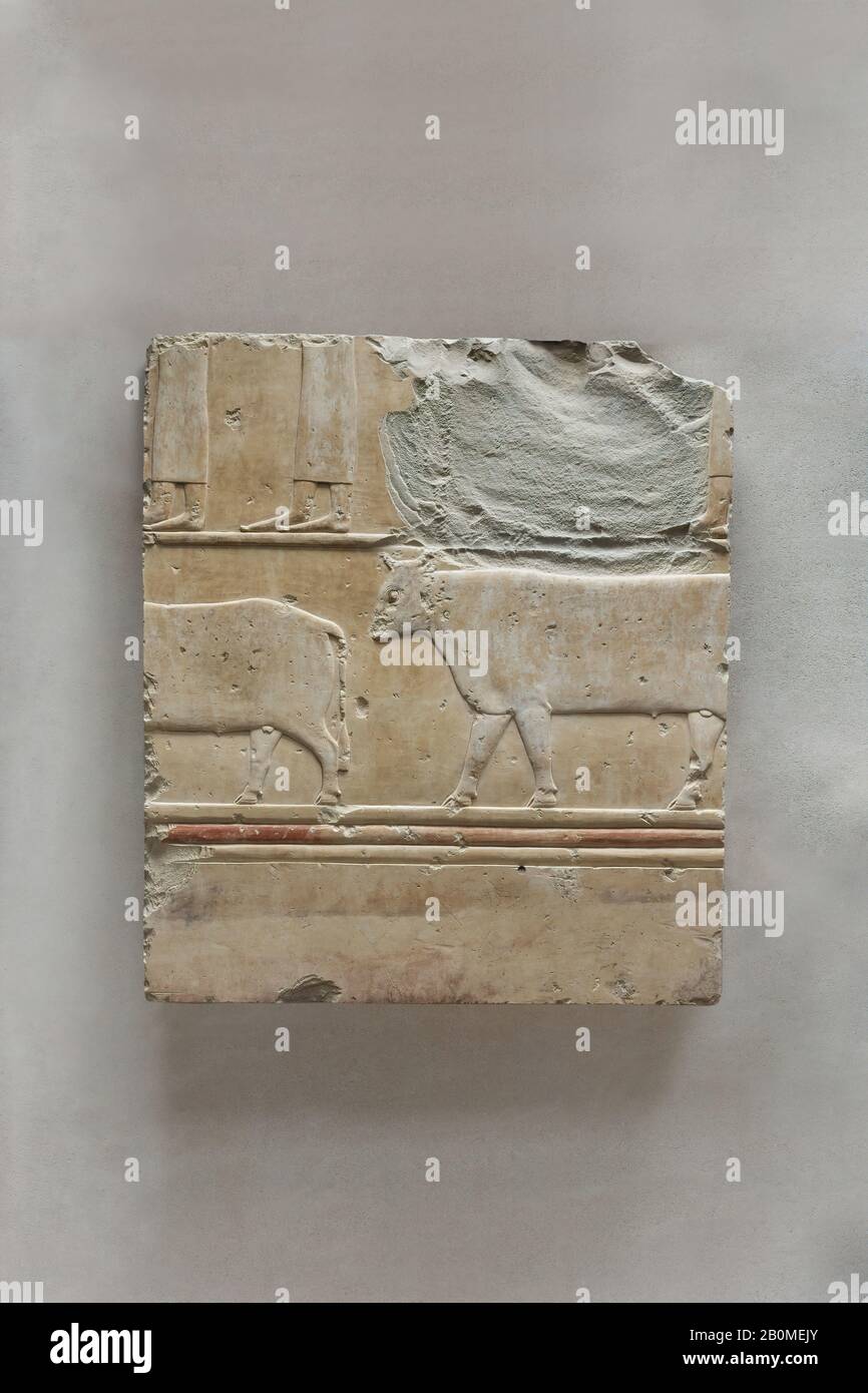 Relief Of Female Attendants And Oxen See 26 3 353 3 Middle Kingdom Dynasty 11 Reign Of Mentuhotep Ii Early Ca 51 30 B C From Egypt Upper Egypt Thebes Deir El Bahri Tomb Of Neferu 1923 25