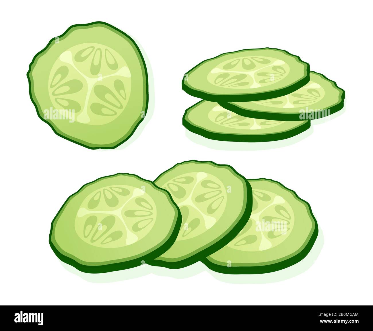 Fresh cucumber sliced slices isolated on white background. Green round