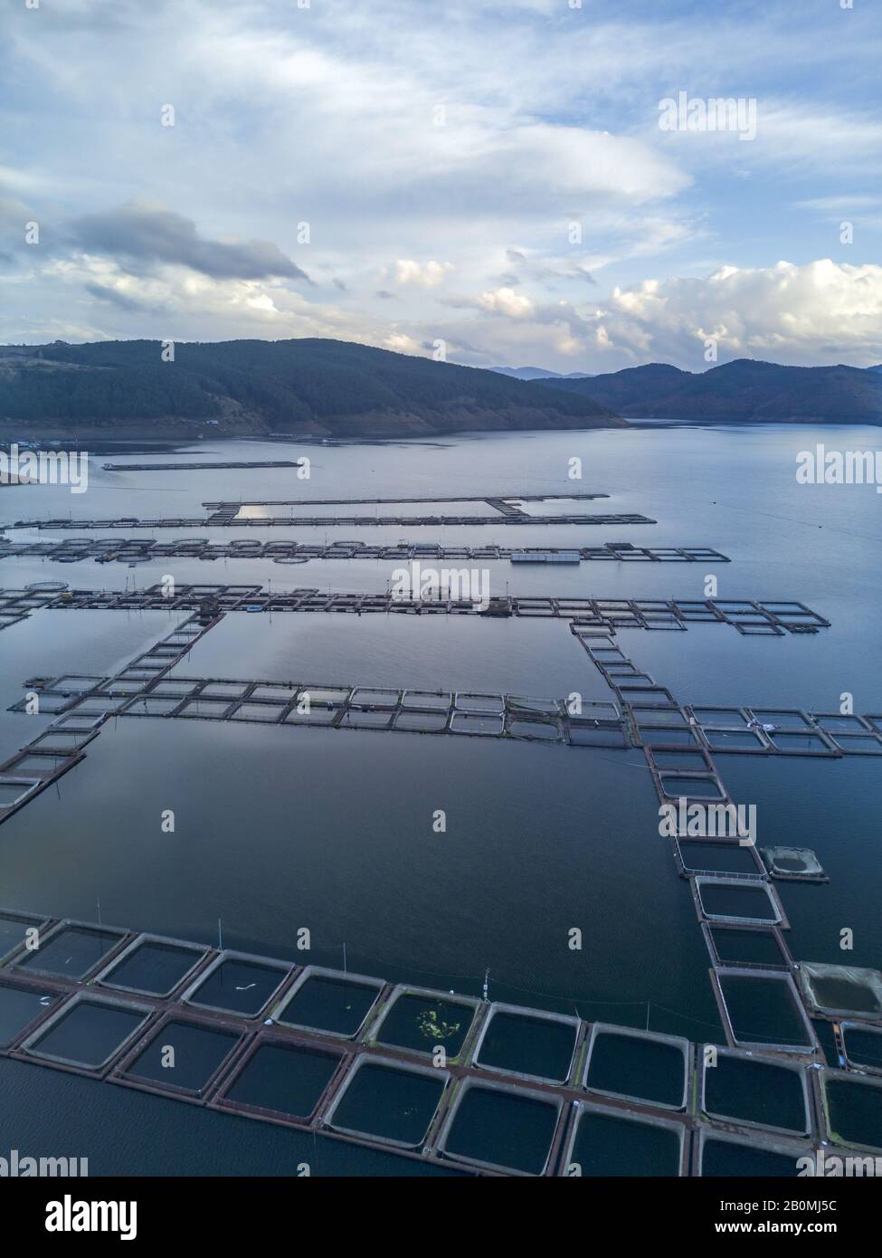 Fishing farm sturgeon for caviar in a lake bulgaria europe beluga Stock