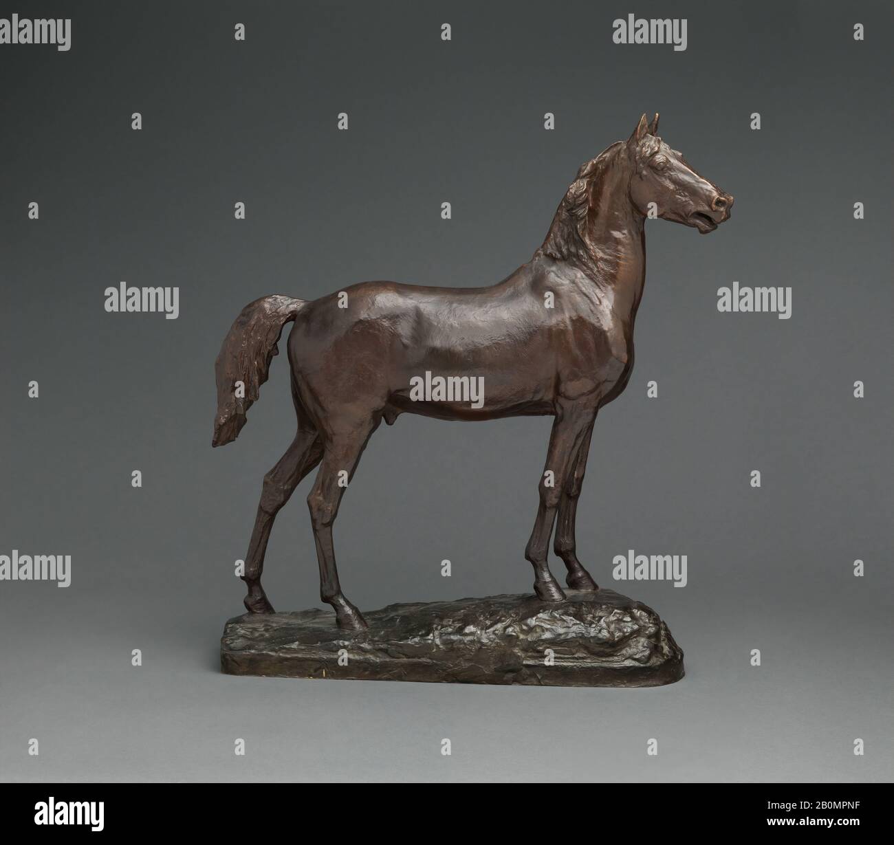 John Quincy Adams Ward, Study of the Horse for the Statue of Major General George Henry Thomas, American, John Quincy Adams Ward (American, Urbana, Ohio 1830–1910 New York), 1879, cast after 1910, American, Bronze, 20 x 18 x 5 in. (50.8 x 45.7 x 12.7 cm), Sculpture Stock Photo