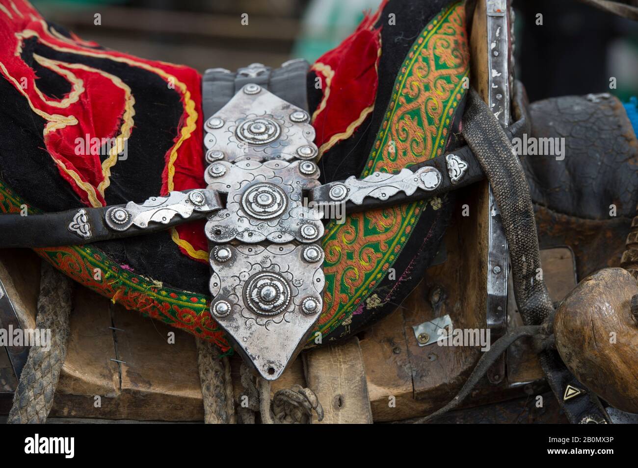 Decorated horse saddle on a horse at the Golden Eagle Festival grounds near the city of Ulgii (Ölgii) in the Bayan-Ulgii Province in western Mongolia. Stock Photo