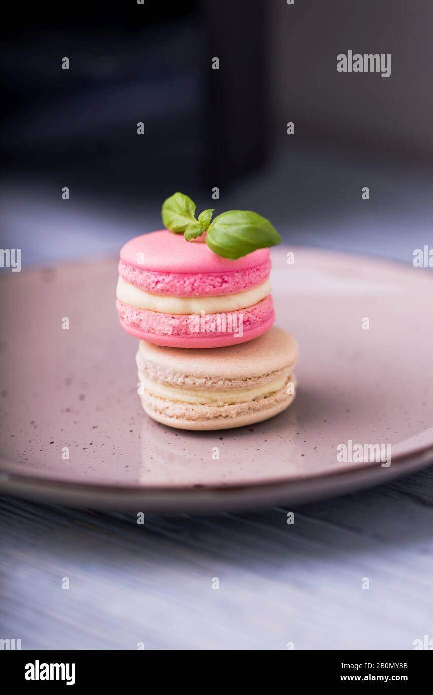 Pink raspberry and beige vanilla macaroons on a ceramic plate Stock Photo